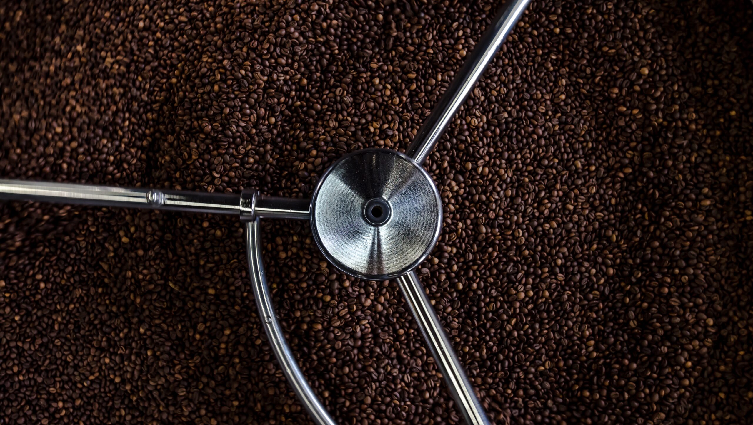 grains de café