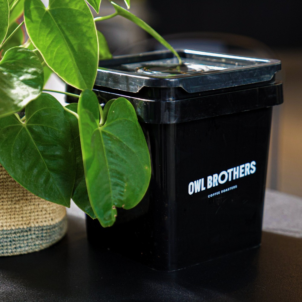 café en grains Owl Brothers