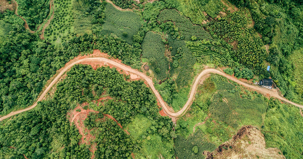 chemin, forêt, terre, arbres, montagne