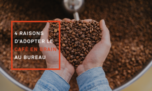 La machine à café en grain professionnelle