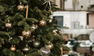 Tisanerie de Noel - Crédits Vlada Karpovich