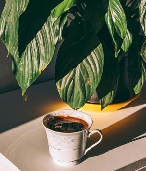 Quand changer de machine à café professionnelle à grains